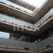 zabr (54).jpg